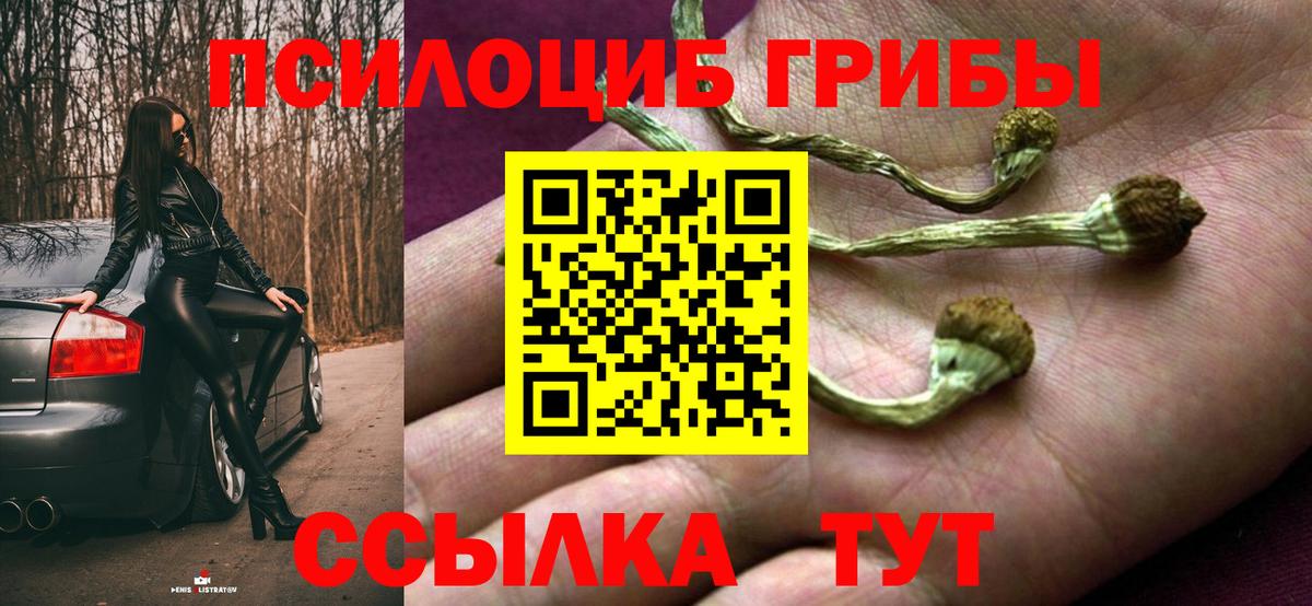 Псилоцибиновые грибы GOLDEN TEACHER  Вход с VPN  Галлюциногенные грибы Magic Shrooms  Заволжье 
