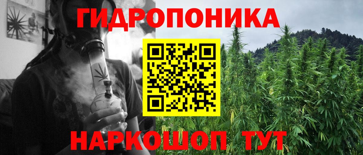 Бошки марихуана ГИДРОПОН Заволжье